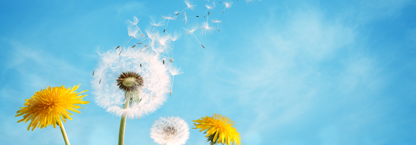 平成都市計画株式会社